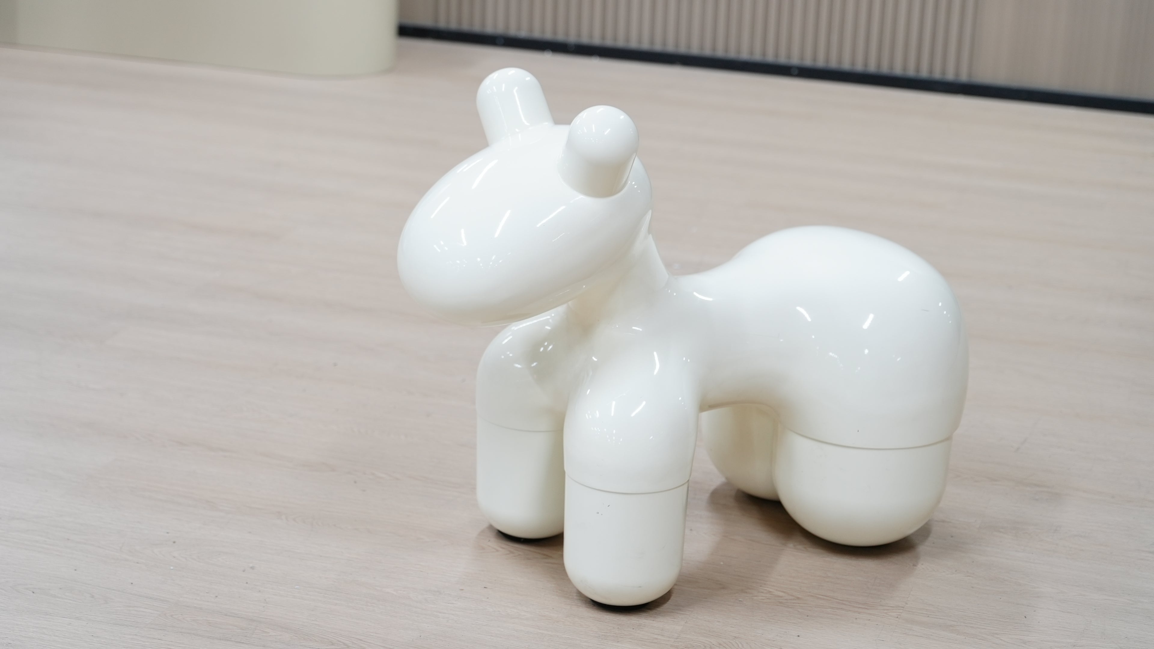 אקססוריז דוג